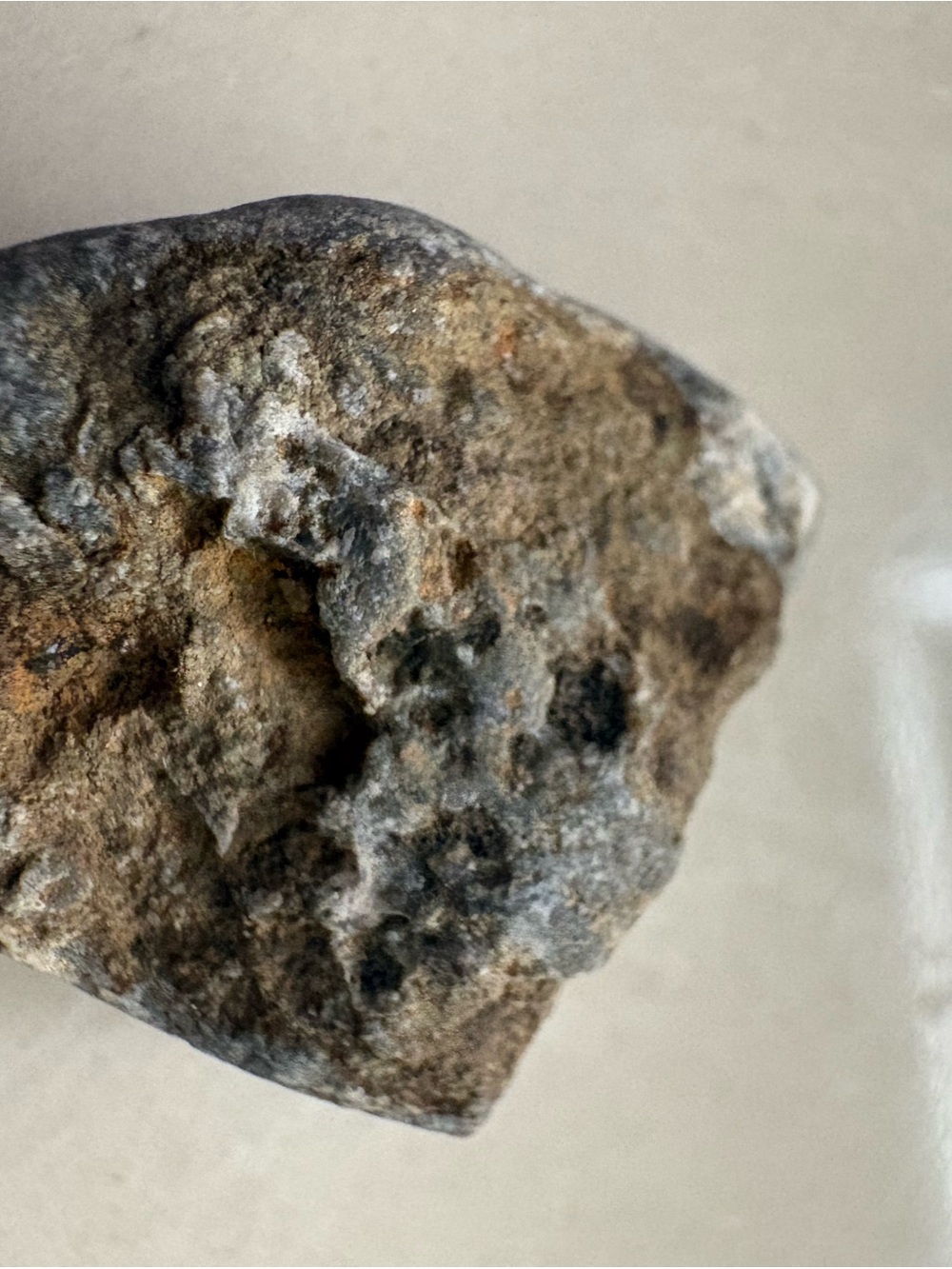 Keystone lake stone fossil Natural Rough Stone Specimen Oklahoma